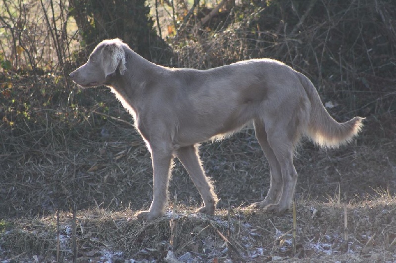 Juliette Du Haut D'Hilard