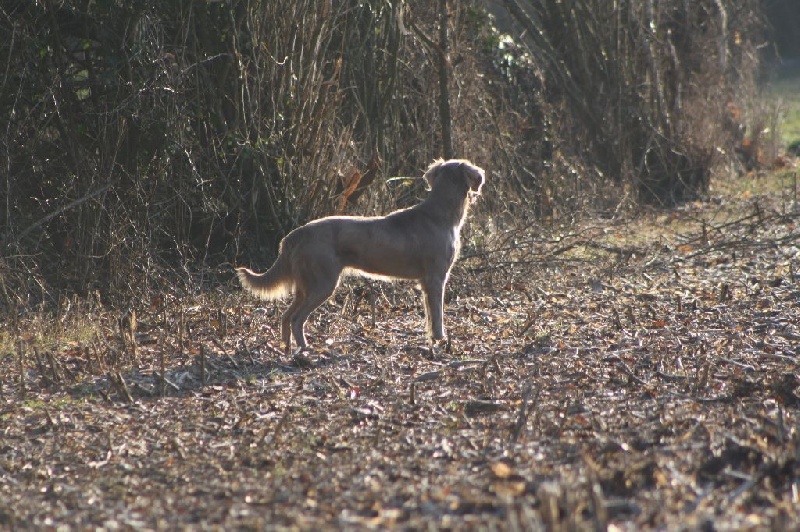 Juliette Du Haut D'Hilard