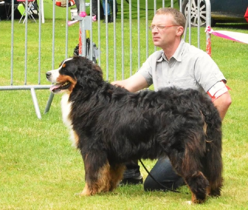 J'y suis j'y reste dit tipi des compagnons de la mane