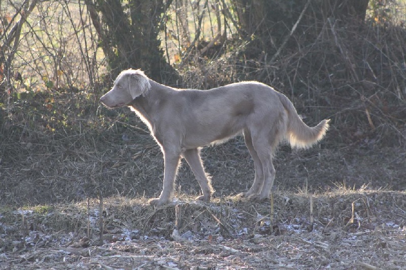 Juliette Du Haut D'Hilard