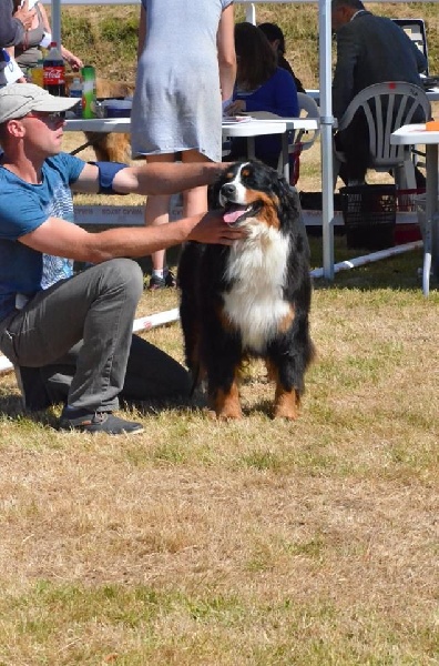 J'y suis j'y reste dit tipi des compagnons de la mane